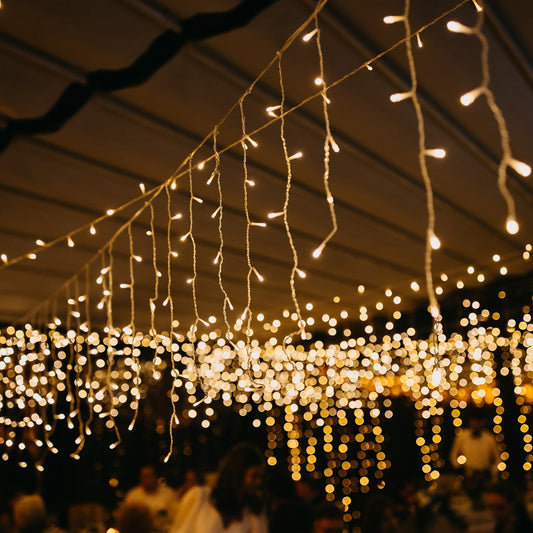 Festive 3 Meter Festival Decoration Led String Light, Diwali Light for Indoor and Outdoor Uses in All Ocassion Birthday 1 Color Light (16l 3Mtr)