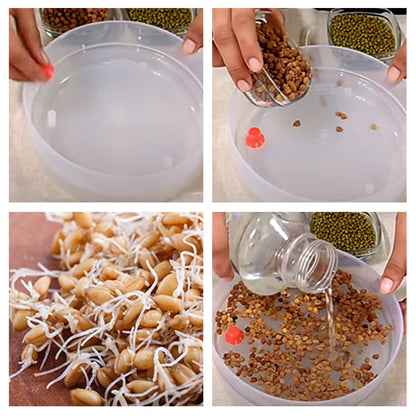 070 Plastic 4 Compartment Sprout Maker, White Party Hat