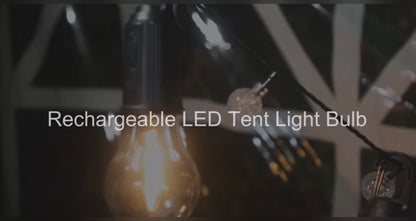 Decorative Rechargeable Hanging Bulb (Pack of 1)