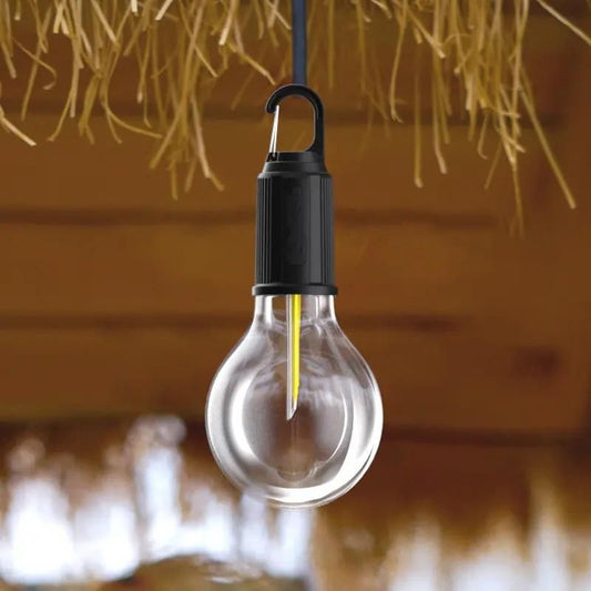 Decorative Rechargeable Hanging Bulb (Pack of 1)